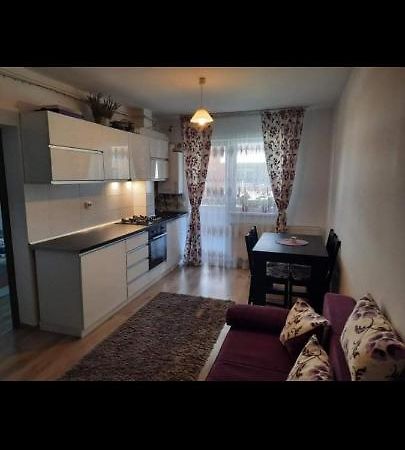 Diana Apartament Leilighet Braşov Eksteriør bilde