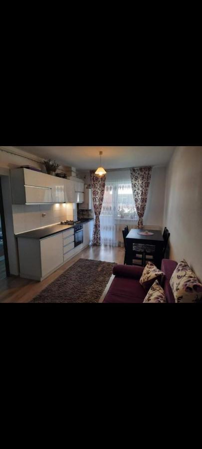 Diana Apartament Leilighet Braşov Eksteriør bilde